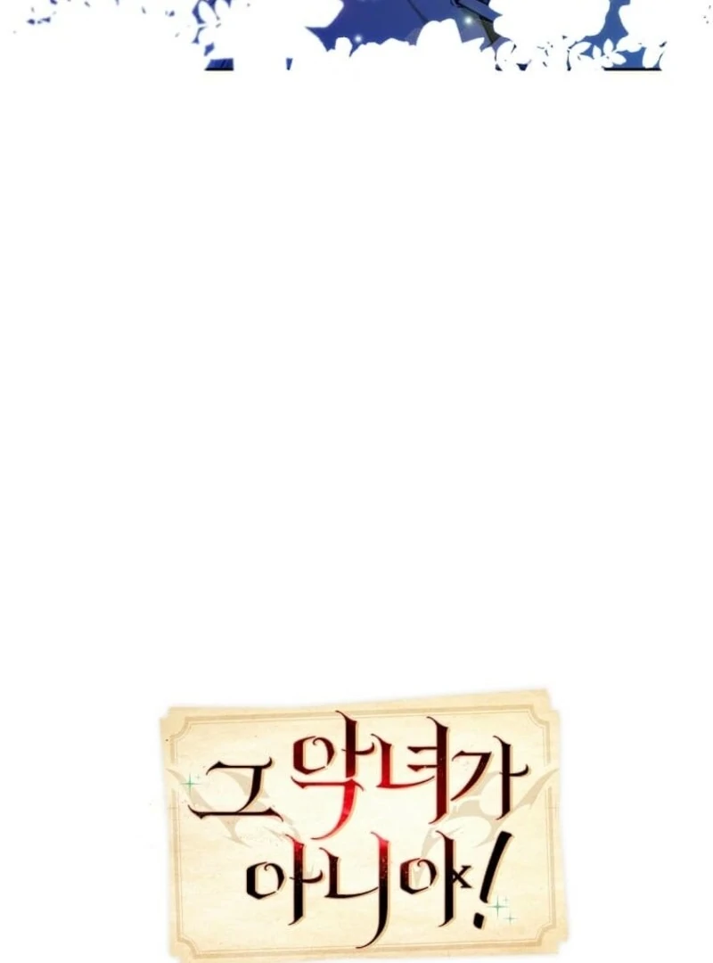 Mistaken for a Wicked Woman! Chapter 61 - page 12